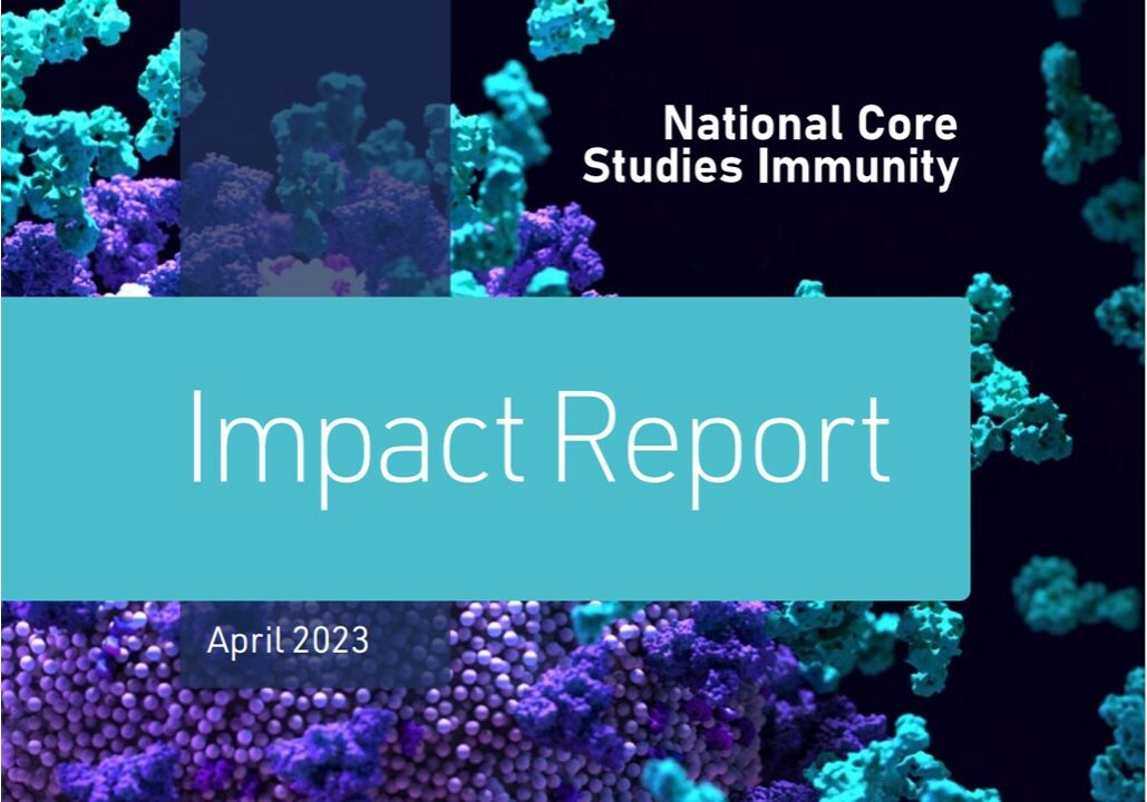 NCSi Impact Report image